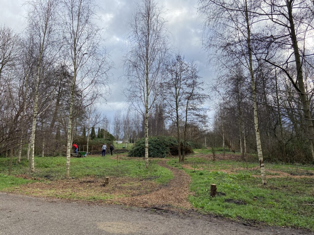 Bospad in Park Matilo