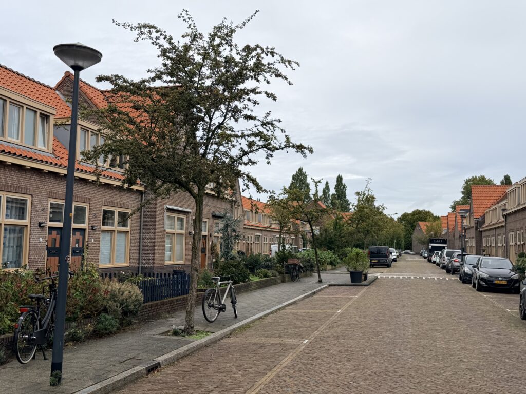 Meidoorn in de stoep voor Meidoornstraat 47